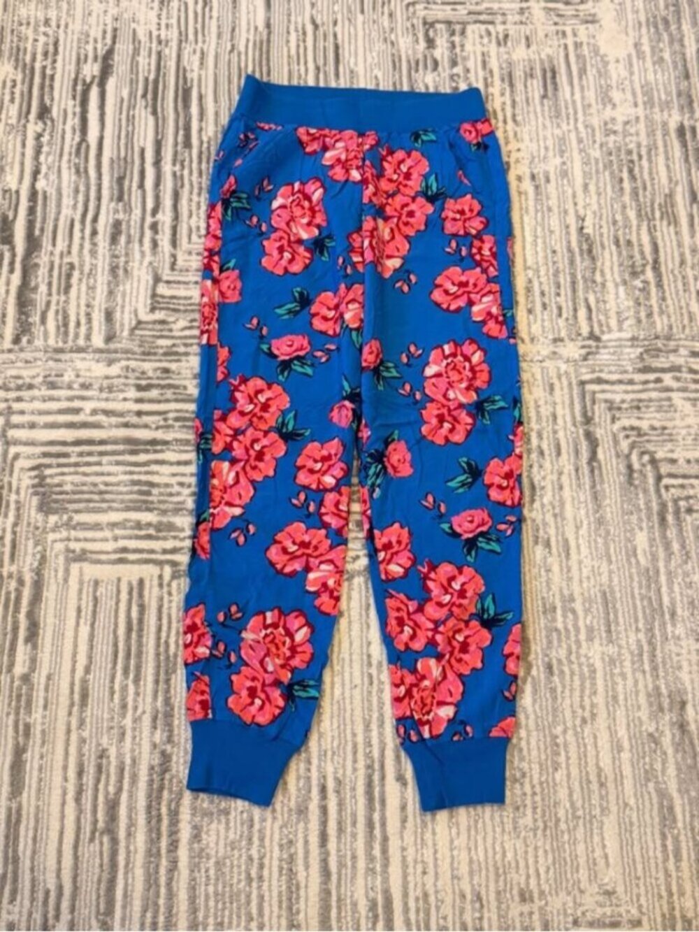 Aerie women's small blue floral pull-on jogger pants